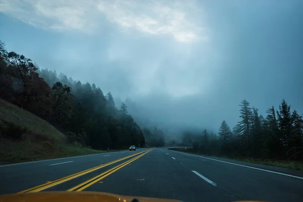 Nebbioso Autostrada attraverso la foresta di conifere, Stati Uniti — Foto Stock