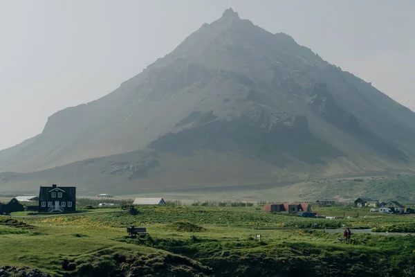 Bílý Islandský Kůň Poli Malebné Krajiny Islandu Kvalitní Fotografie — Stock fotografie