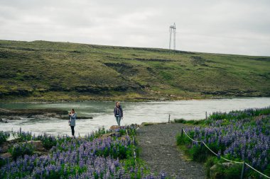 Şelale, Urridafoss veya Urridafoss, Selfoss ve Hella, İzlanda arasında. Yüksek kalite fotoğraf