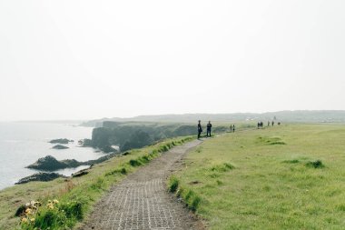 Arnarstapi Snaefellsnes 'in İzlanda doğa manzarası. Arnarstapi Limanı, İzlanda. Yüksek kalite fotoğraf