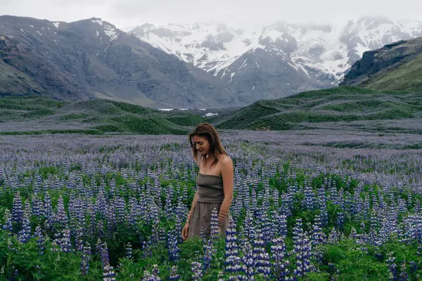 Typiskt Island Landskap Med Lupine Blommor Fält Sommartid Högkvalitativt Foto — Stockfoto