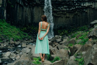 Svartifoss Şelalesi İzlanda 'daki Skaftafell Ulusal Parkı' nda. Yüksek kalite fotoğraf
