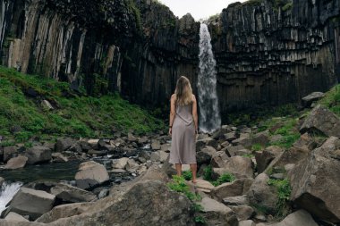 Svartifoss Şelalesi İzlanda 'daki Skaftafell Ulusal Parkı' nda. Yüksek kalite fotoğraf