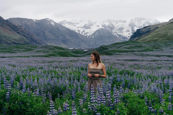 Typiskt Island Landskap Med Lupine Blommor Fält Sommartid Högkvalitativt Foto — Stockfoto