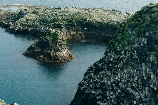 Arnarstapi Snaefellsnes 'in İzlanda doğa manzarası. Arnarstapi Limanı, İzlanda 'dan. Yüksek kalite fotoğraf