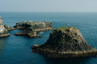 Arnarstapi Snaefellsnes 'in İzlanda doğa manzarası. Arnarstapi Limanı, İzlanda. Yüksek kalite fotoğraf