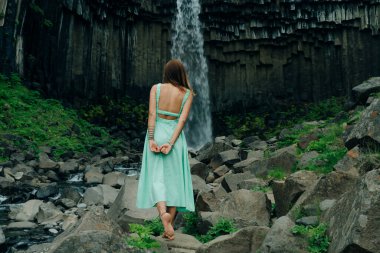 Svartifoss Şelalesi İzlanda 'daki Skaftafell Ulusal Parkı' nda. Yüksek kalite fotoğraf