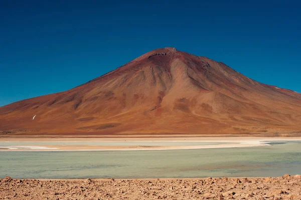 Reserva Nacional los flamencos 'un güzel manzarası.