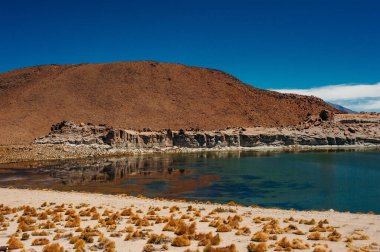 Reserva Nacional los flamencos 'un güzel manzarası.
