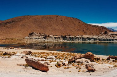 Reserva Nacional los flamencos 'un güzel manzarası.