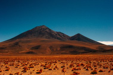Reserva Nacional los flamencos 'un güzel manzarası.