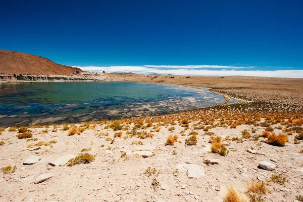 Reserva Nacional los flamencos 'un güzel manzarası.