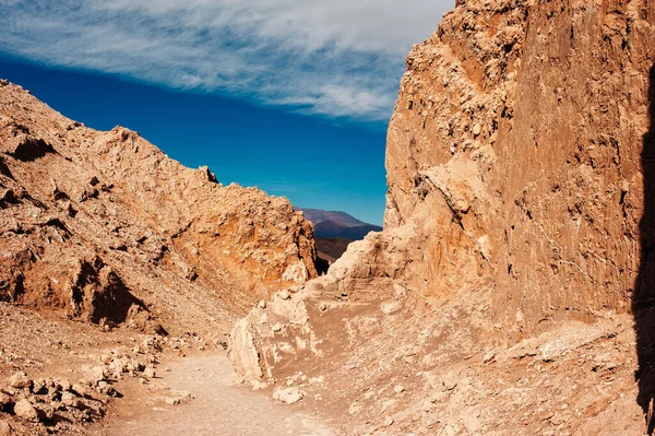 Reserva Nacional los flamencos 'un güzel manzarası.