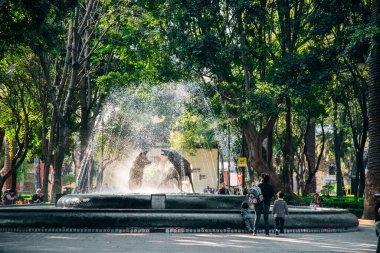 Mexico City, Meksika - Ekim 2019. Çeşmedeki çakalların heykeli, Quarter Coyoacan. Yüksek kalite fotoğraf