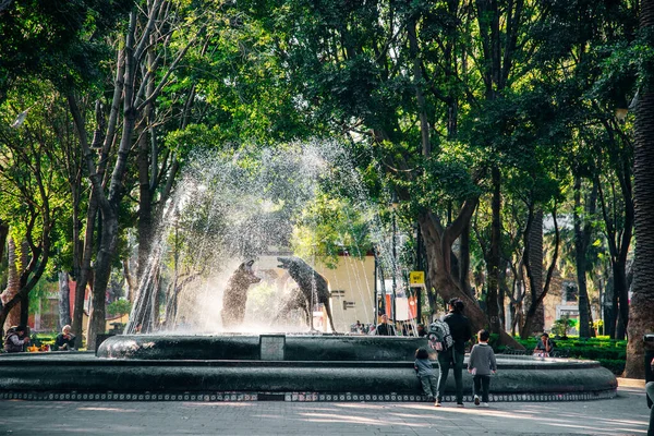 Mexico City, Meksika - Ekim 2019. Çeşmedeki çakalların heykeli, Quarter Coyoacan. Yüksek kalite fotoğraf