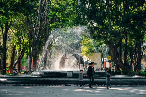 Mexico City Mexikó 2019 Október Prérifarkasok Szobrának Részletei Szökőkútban Negyedprérifarkas — Stock Fotó
