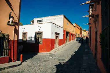 Huş ağacı korusunda yürüyüş yolu. Yüksek kalite fotoğraf