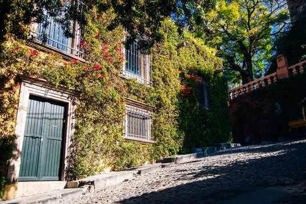 Ev tamamen sarmaşıkla kaplanmış. Brezilya - Mayıs, 2019.