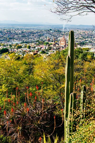 Panorámás Kilátás Nyílik San Miguel Allende City Mexikóban Kiváló Minőségű — Stock Fotó