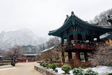 Bina Budist Sinheungsa Tapınağı Seoraksan Milli Parkı, Güney Kore.