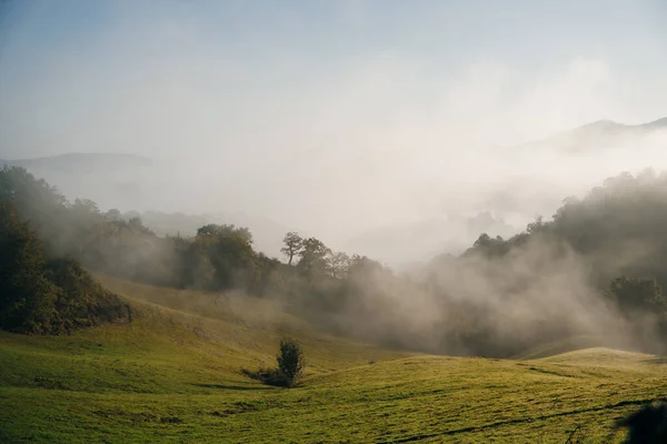 Brouillard Matinal Dans Les Montagnes Des Pyrénées Photo Haute Qualité — Photo