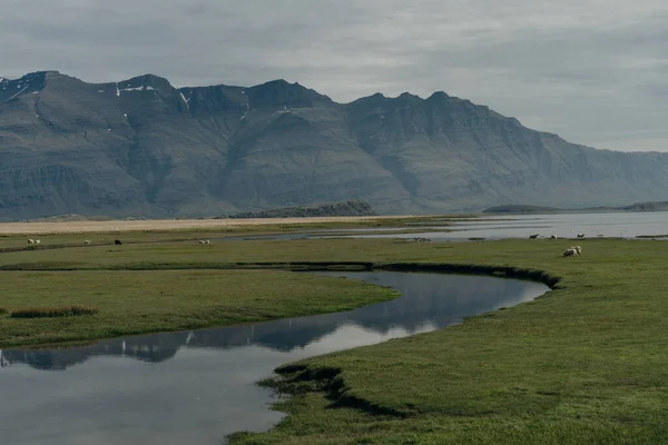 Uma Paisagem Islandesa Deslumbrante Islândia Foto Alta Qualidade — Fotografia de Stock