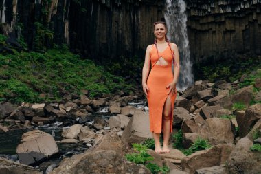 Svartifoss Şelalesi İzlanda 'daki Skaftafell Ulusal Parkı' nda. Yüksek kalite fotoğraf