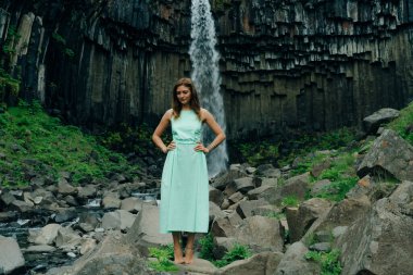 Svartifoss Şelalesi İzlanda 'daki Skaftafell Ulusal Parkı' nda. Yüksek kalite fotoğraf