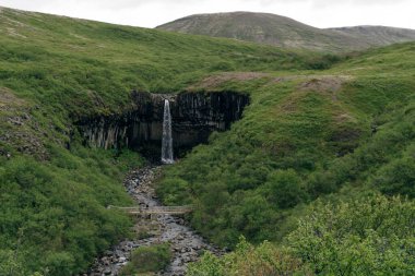 Svartifoss Şelalesi İzlanda 'daki Skaftafell Ulusal Parkı' nda. Yüksek kalite fotoğraf
