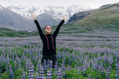 Lupin çiçekli tipik İzlanda manzarası. Yaz zamanı. Yüksek kalite fotoğraf