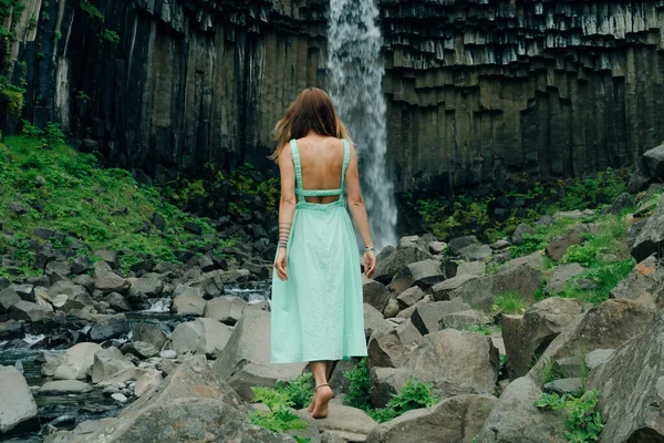 Svartifoss Şelalesi İzlanda 'daki Skaftafell Ulusal Parkı' nda. Yüksek kalite fotoğraf
