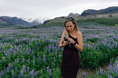 Lupin çiçekli tipik İzlanda manzarası. Yaz zamanı. Yüksek kalite fotoğraf