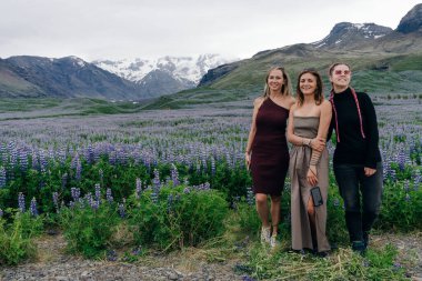 Lupin çiçekli tipik İzlanda manzarası. Yaz zamanı. Yüksek kalite fotoğraf