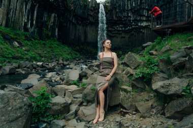 Svartifoss Şelalesi İzlanda 'daki Skaftafell Ulusal Parkı' nda. Yüksek kalite fotoğraf