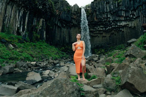 Cascata Svartifoss Nel Parco Nazionale Skaftafell Ghianda Foto Alta Qualità — Foto Stock