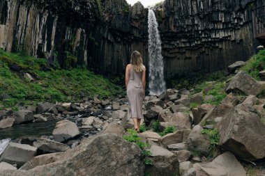 Svartifoss Şelalesi İzlanda 'daki Skaftafell Ulusal Parkı' nda. Yüksek kalite fotoğraf