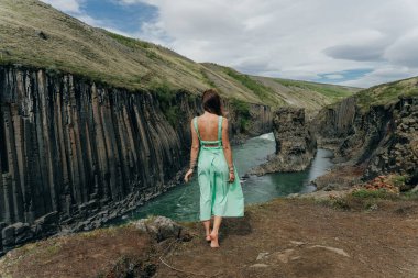 İzlanda, Studlagil Kanyonu 'ndan geçen Yeşil Nehir. Yüksek kalite fotoğraf
