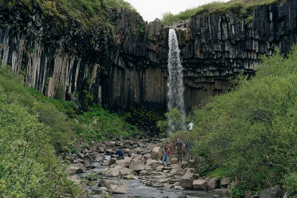 Svartifoss Şelalesi Zlanda Daki Skaftafell Ulusal Parkı Nda Yüksek Kalite — Stok fotoğraf