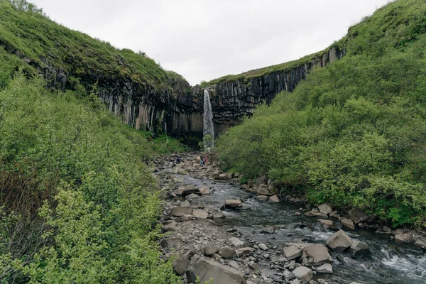 Svartifoss Şelalesi Zlanda Daki Skaftafell Ulusal Parkı Nda Yüksek Kalite — Stok fotoğraf