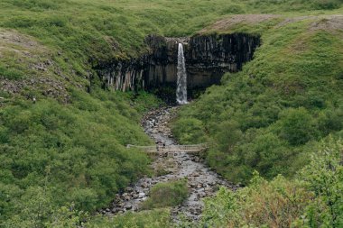 Svartifoss Şelalesi İzlanda 'daki Skaftafell Ulusal Parkı' nda. Yüksek kalite fotoğraf