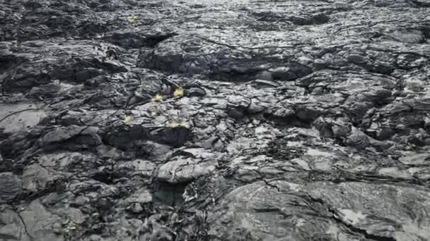 Formations bizarres sur les champs de lave, Big Island Hawaii. — Video