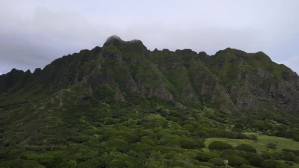 Vue aérienne de Kualoa Point à Kaneohe Bay, Oahu, Hawaï, États-Unis — Video
