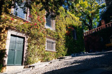 Ev tamamen sarmaşıkla kaplanmış. Brezilya - Mayıs, 2019.