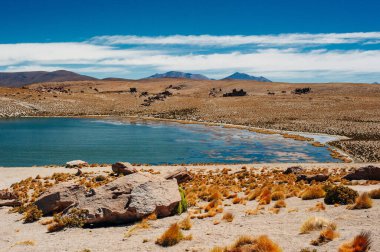 Reserva Nacional los flamencos 'un güzel manzarası.