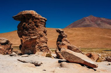 Reserva Nacional los flamencos 'un güzel manzarası