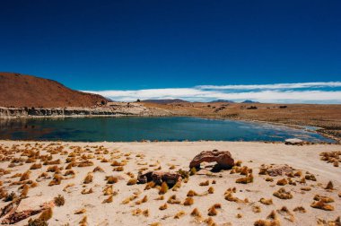 Reserva Nacional los flamencos 'un güzel manzarası