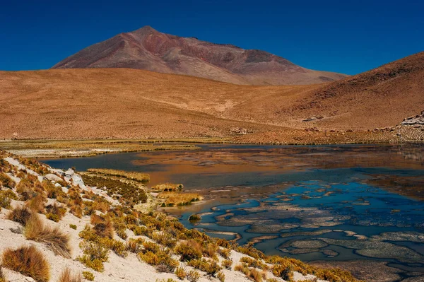 Reserva Nacional Los Flamencos Güzel Manzarası — Stok fotoğraf