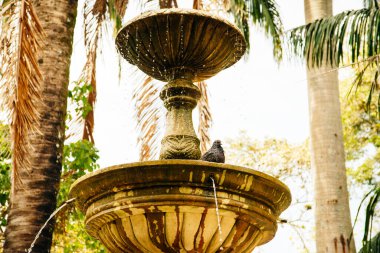 Kolombiya, Barichara meydanında tarihi sömürge çeşmesi. Yüksek kalite fotoğraf