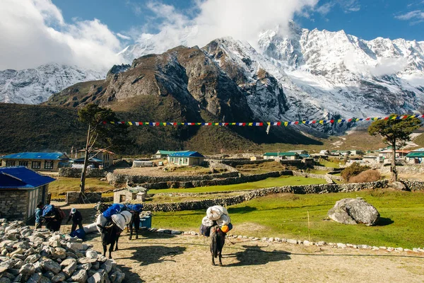 Dağlar. Himalaya, Nepal, Asya 'daki köyün yatay panoramik manzarası. Yüksek kalite fotoğraf