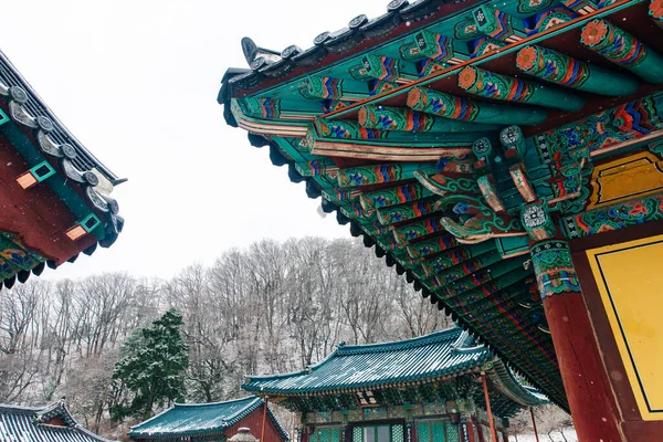 Edificio Del Tempio Buddista Sinheungsa Nel Parco Nazionale Seoraksan Corea — Foto Stock